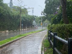 -凤岗南门山森林公园