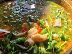 -西昌缸窑鲜鱼府