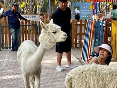 -水上乐园·欢乐世界