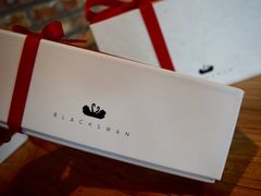 -BLACKSWAN黑天鹅(环球店)
