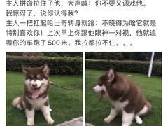 -羽至金时(柏威年店)