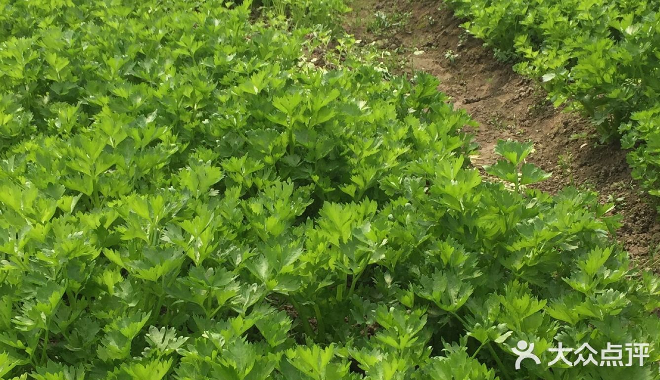 ️免预约 ️适合10岁以下的儿童