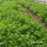 ️免预约 ️适合10岁以下的儿童