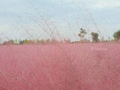 -汉长安城未央宫国家考古遗址公园