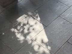 -星巴克臻选(思南公馆店)