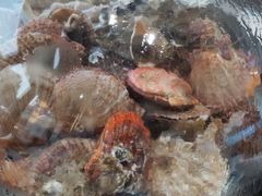 -大锅强·蒸海鲜青岛菜(吾悦广场店)