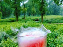 -野蔓果·山野菜(西湖景区·龙井茶田店)