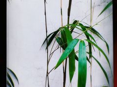 -豫园