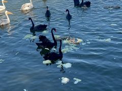 -水上乐园·欢乐世界