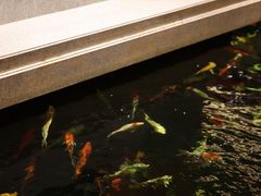 -龙悦湾酒家·八阵鱼生·渔人码头店