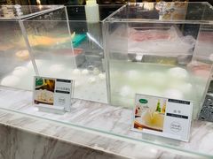 -ALLORA意大利餐厅(丰盛里店)