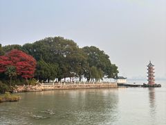 -无锡蠡湖国家湿地公园-蠡园