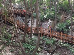 -大岭沟猕猴桃谷风景区
