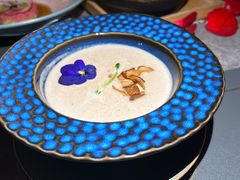 -Hi City·城市之巅