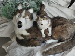 -IMON·HANSA潮玩玩偶毛绒玩具(通州万象汇店)