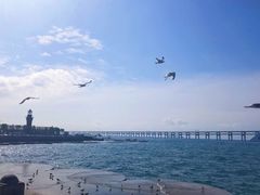 -星海湾跨海大桥
