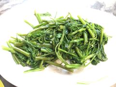 马来风光-新峰肉骨茶