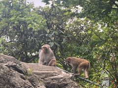 -黔灵山公园
