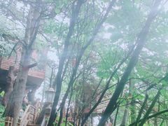 -塔云山