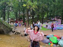 -洛阳白云山景区