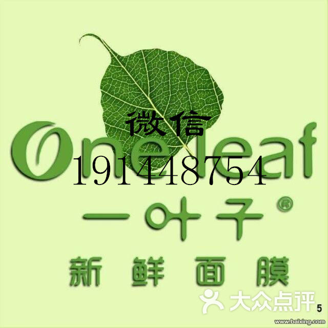 一叶子面膜logo图片