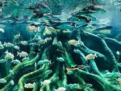 -波塞冬旅游度假区