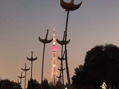 -陕西广播电视塔