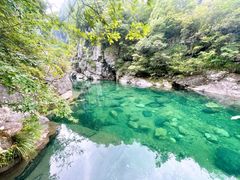 -石台牯牛降景区