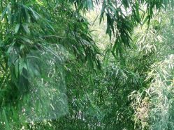 点击看大图 -馨月汇·一悦馨香月子中心(前滩店)