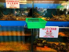 -真浪花园海鲜餐馆
