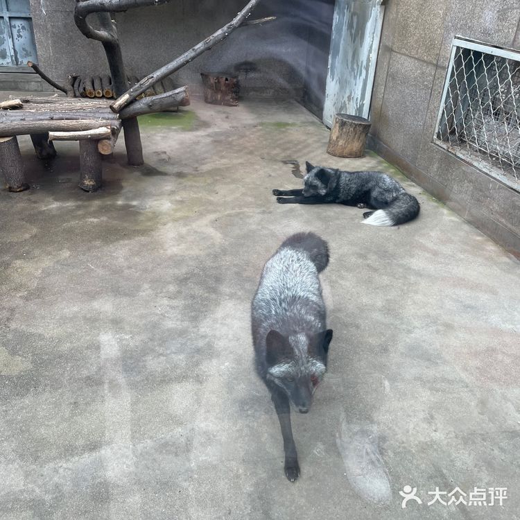 淡季的野生动物园还是不错的选择