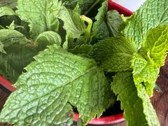 -攀枝花·任德琼·盐边羊肉米线