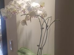 -唐诗楼(康宁店)