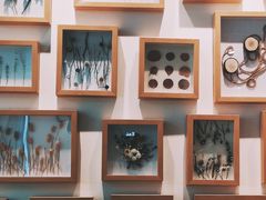 -植物学家的女儿(北马道巷店)