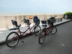 -大湾区中央湿地公园