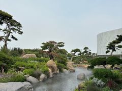 -罗红摄影艺术馆