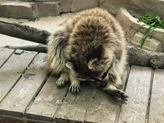-济南野生动物世界