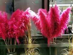 -蜀九香火锅(江油店)