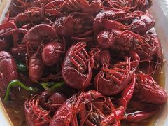 -同銮特种养殖场·龙虾垂钓