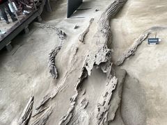 -金沙遗址博物馆