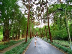 -中国科学院西双版纳热带植物园