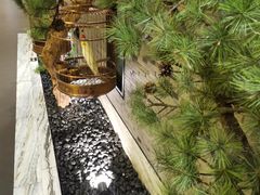 -小厨娘淮扬菜(六合欢乐港店)