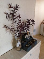 -涂tu指甲日式美甲美睫店