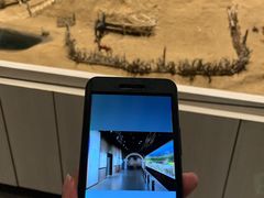-巴音郭楞蒙古自治州博物馆
