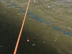 -会江钓鱼钓虾烧烤场