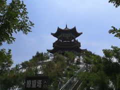 -南大港湿地风景区