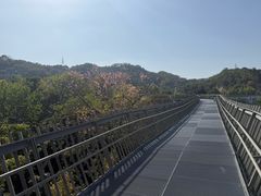 -福道