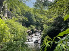 -云岫谷游猎自然风景区