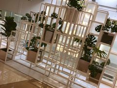 -叶子与茶(苏宁广场店)