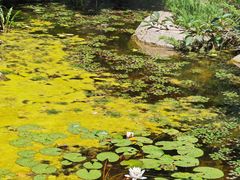 -天津盘山风景名胜区